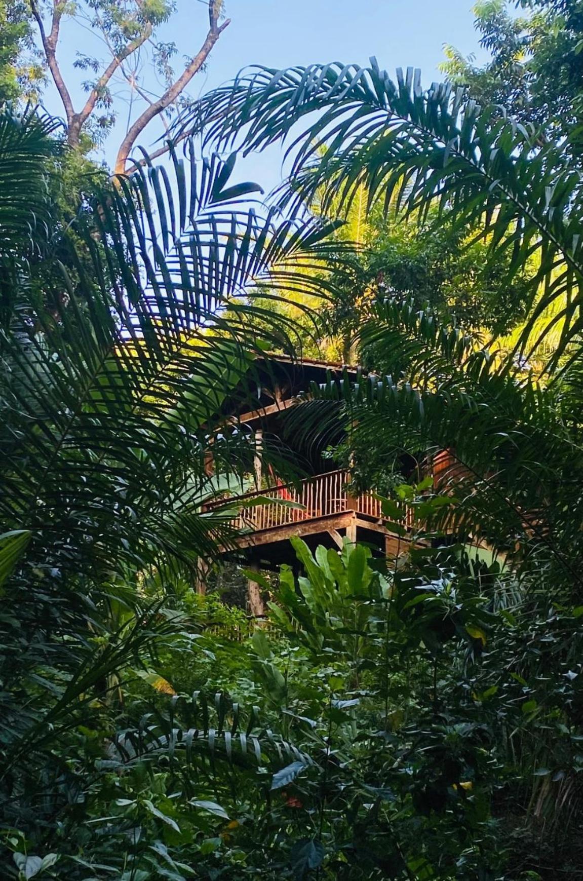 Pousada Anjali Velha Boipeba Exterior photo
